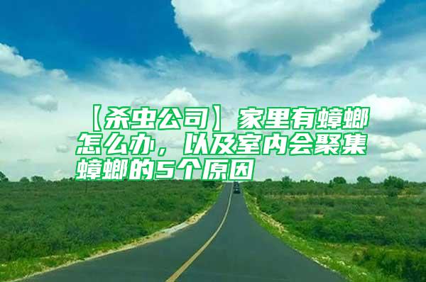 【殺蟲公司】家里有蟑螂怎么辦，以及室內(nèi)會(huì)聚集蟑螂的5個(gè)原因