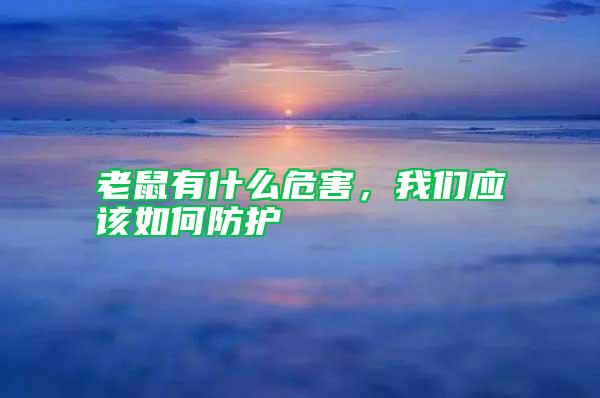 老鼠有什么危害，我們應(yīng)該如何防護(hù)