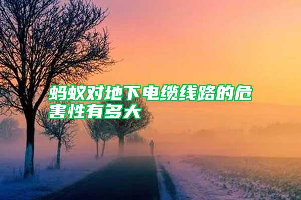 螞蟻對(duì)地下電纜線路的危害性有多大