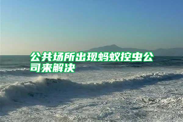 公共場(chǎng)所出現(xiàn)螞蟻控蟲(chóng)公司來(lái)解決