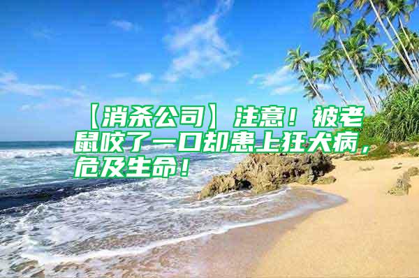 【消殺公司】注意！被老鼠咬了一口卻患上狂犬病，危及生命！