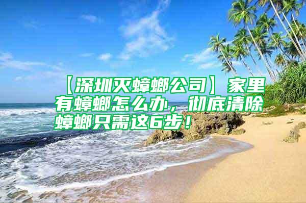 【深圳滅蟑螂公司】家里有蟑螂怎么辦，徹底清除蟑螂只需這6步！