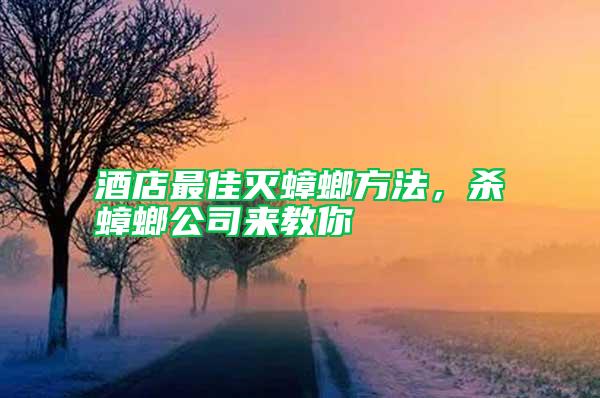 酒店最佳滅蟑螂方法，殺蟑螂公司來教你
