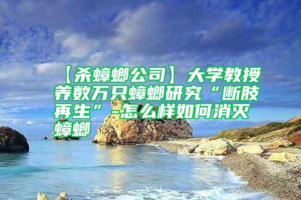 【殺蟑螂公司】大學教授養(yǎng)數萬只蟑螂研究“斷肢再生”-怎么樣如何消滅蟑螂