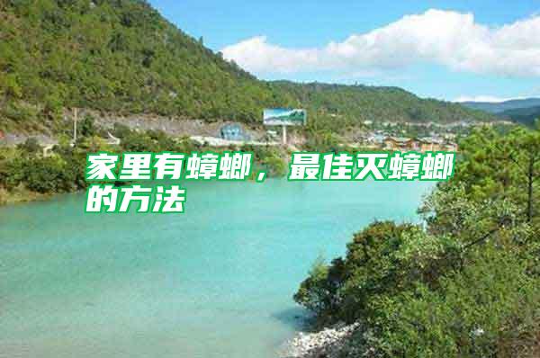 家里有蟑螂，最佳滅蟑螂的方法