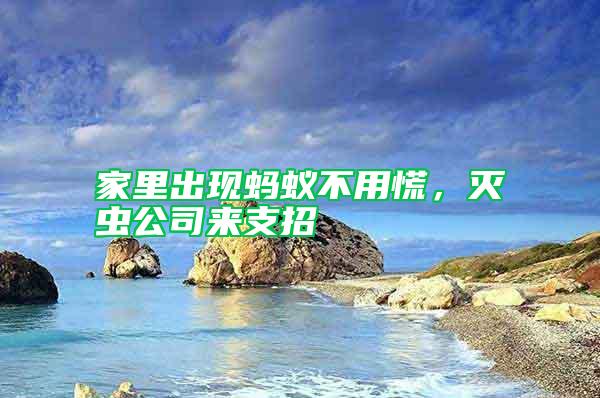 家里出現(xiàn)螞蟻不用慌，滅蟲(chóng)公司來(lái)支招