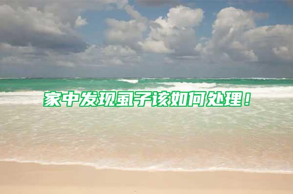 家中發(fā)現(xiàn)虱子該如何處理！