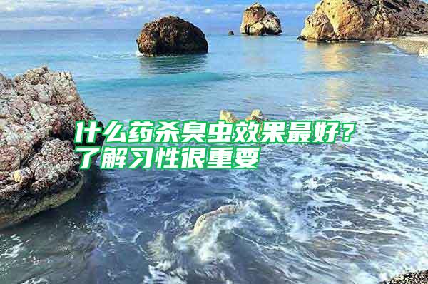 什么藥殺臭蟲效果最好？了解習(xí)性很重要