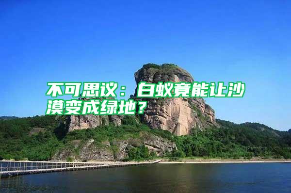 不可思議：白蟻竟能讓沙漠變成綠地？