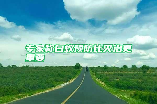 專家稱白蟻預(yù)防比滅治更重要