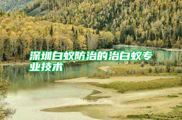 深圳白蟻防治的治白蟻專(zhuān)業(yè)技術(shù)