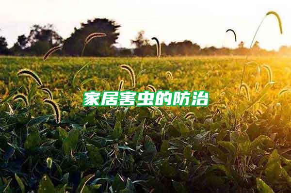 家居害蟲(chóng)的防治