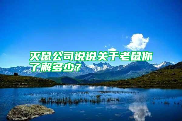 滅鼠公司說(shuō)說(shuō)關(guān)于老鼠你了解多少？