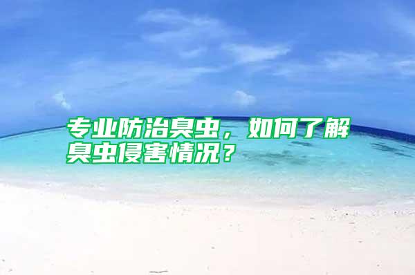 專業防治臭蟲，如何了解臭蟲侵害情況？