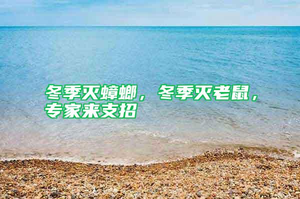 冬季滅蟑螂，冬季滅老鼠，專家來支招