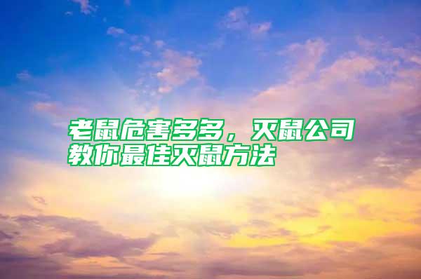 老鼠危害多多，滅鼠公司教你最佳滅鼠方法