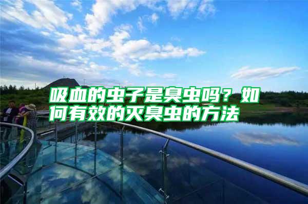 吸血的蟲子是臭蟲嗎？如何有效的滅臭蟲的方法
