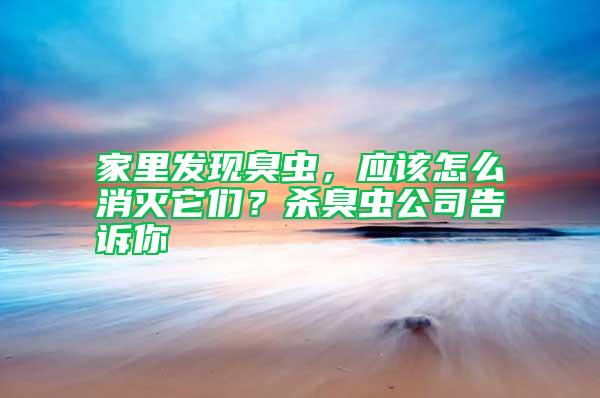 家里發現臭蟲，應該怎么消滅它們？殺臭蟲公司告訴你
