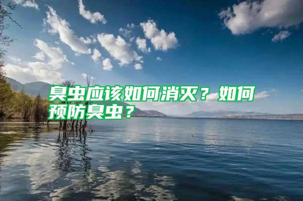 臭蟲應該如何消滅？如何預防臭蟲？