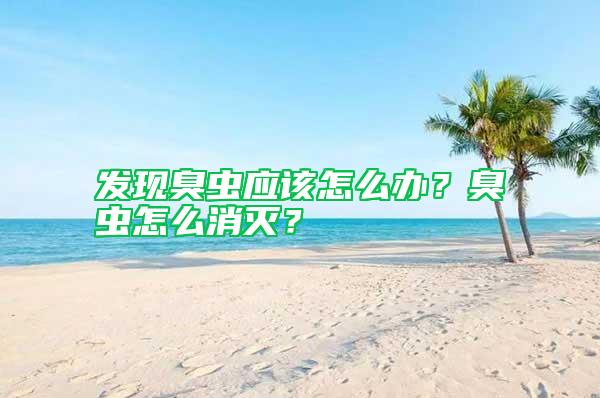 發(fā)現(xiàn)臭蟲應(yīng)該怎么辦？臭蟲怎么消滅？