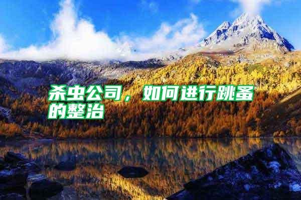 殺蟲(chóng)公司，如何進(jìn)行跳蚤的整治