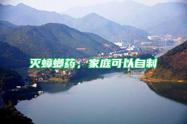 滅蟑螂藥，家庭可以自制