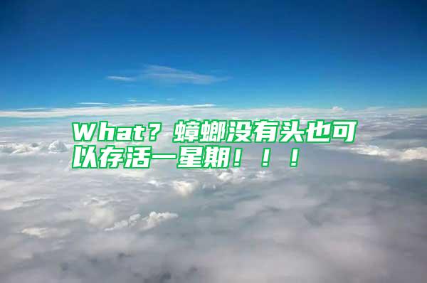 What？蟑螂沒有頭也可以存活一星期！??！