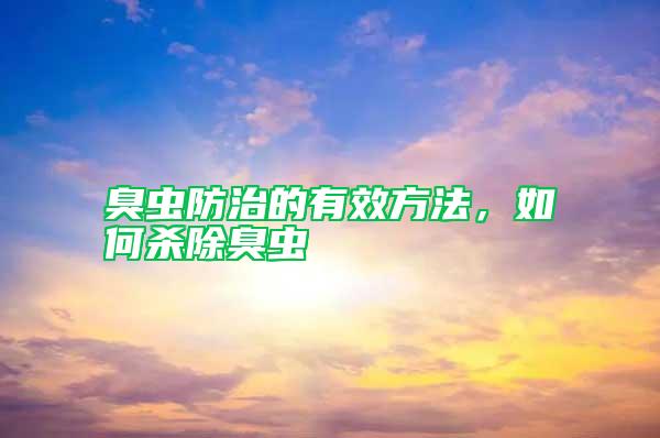 臭蟲(chóng)防治的有效方法，如何殺除臭蟲(chóng)