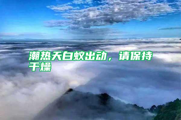 潮熱天白蟻出動，請保持干燥