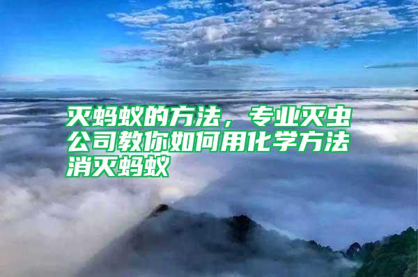 滅螞蟻的方法，專業滅蟲公司教你如何用化學方法消滅螞蟻