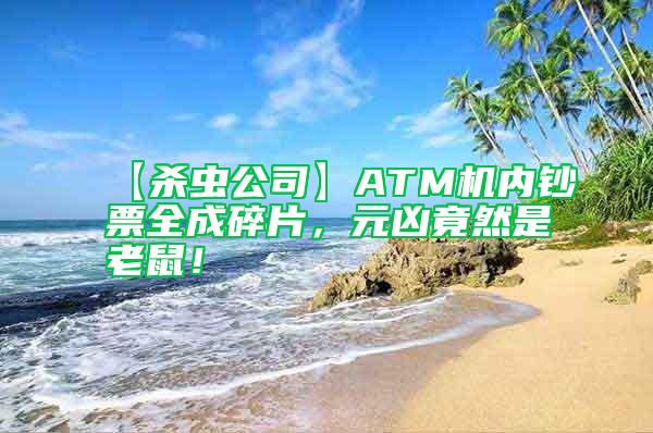 【殺蟲公司】ATM機(jī)內(nèi)鈔票全成碎片，元兇竟然是老鼠！