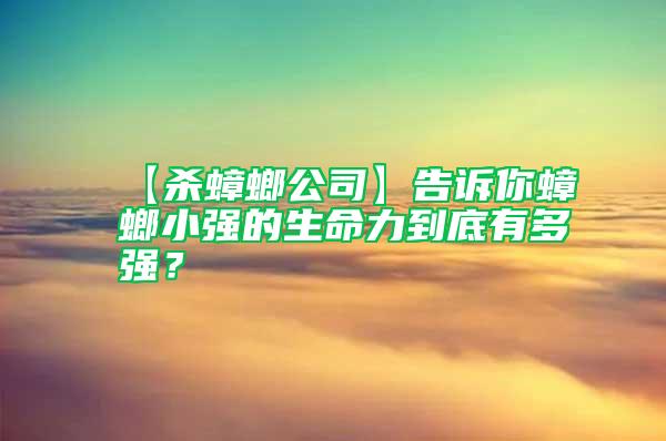 【殺蟑螂公司】告訴你蟑螂小強的生命力到底有多強？
