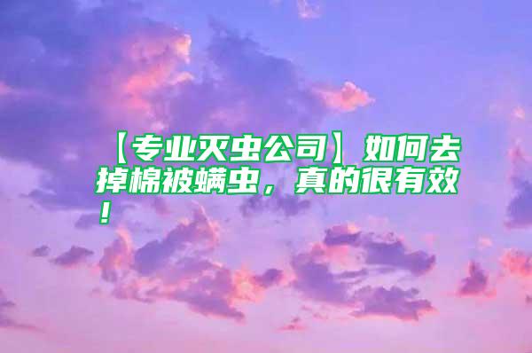 【專業滅蟲公司】如何去掉棉被螨蟲，真的很有效！