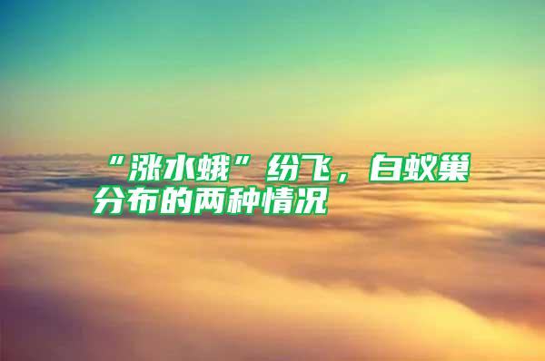 “漲水蛾”紛飛，白蟻巢分布的兩種情況