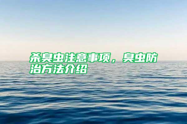 殺臭蟲注意事項，臭蟲防治方法介紹