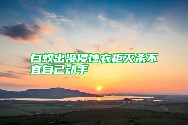 白蟻出沒侵蝕衣柜滅殺不宜自己動(dòng)手
