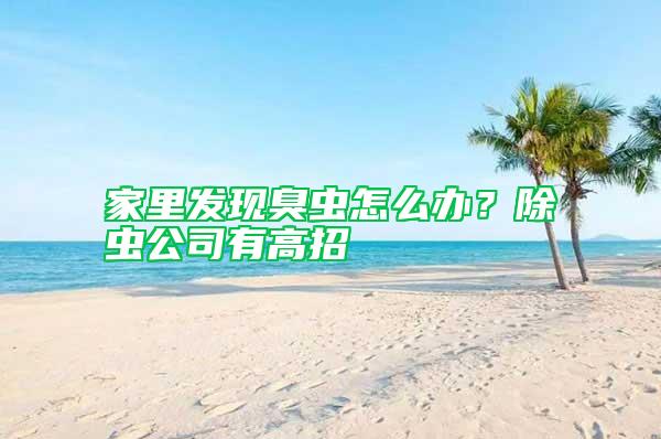 家里發(fā)現(xiàn)臭蟲(chóng)怎么辦？除蟲(chóng)公司有高招