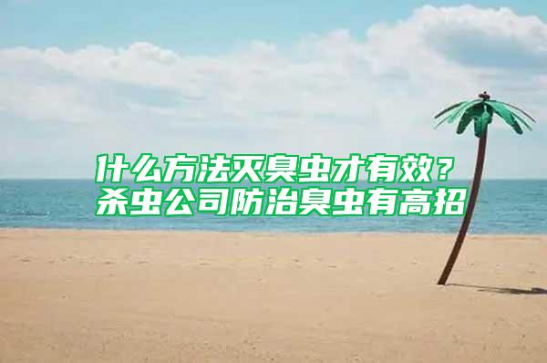 什么方法滅臭蟲才有效？殺蟲公司防治臭蟲有高招