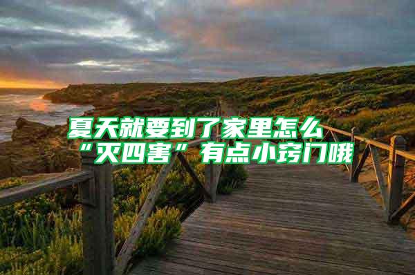 夏天就要到了家里怎么“滅四害”有點(diǎn)小竅門(mén)哦