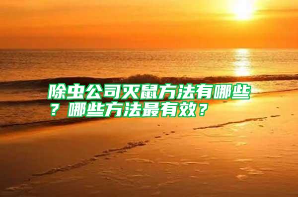 除蟲公司滅鼠方法有哪些？哪些方法最有效？