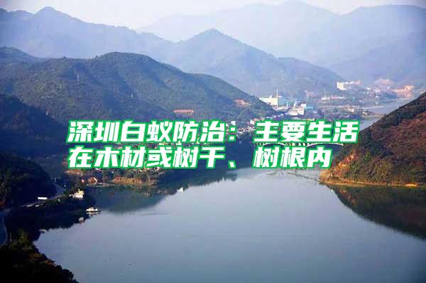 深圳白蟻防治：主要生活在木材或樹干、樹根內