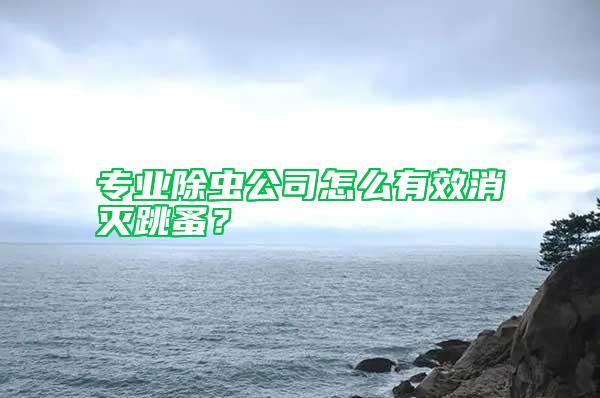 專業除蟲公司怎么有效消滅跳蚤？