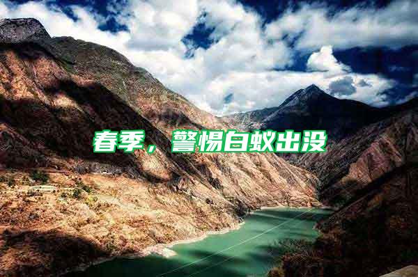 春季，警惕白蟻出沒