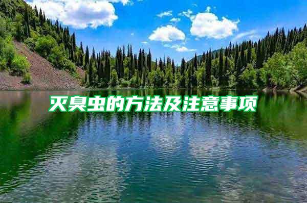 滅臭蟲的方法及注意事項(xiàng)