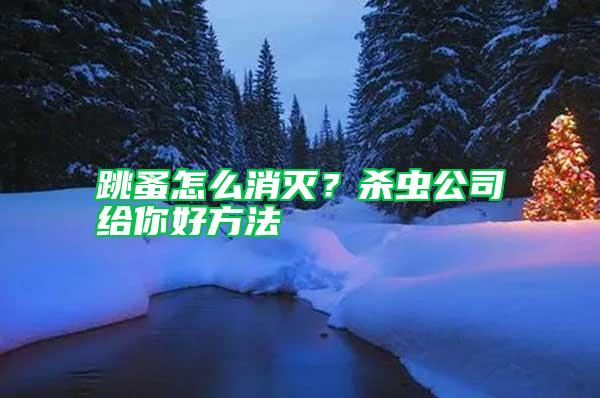 跳蚤怎么消滅？殺蟲公司給你好方法