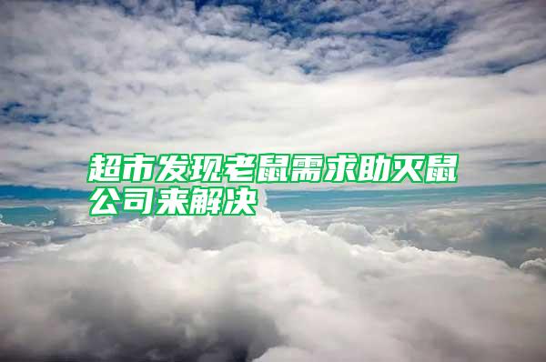 超市發(fā)現(xiàn)老鼠需求助滅鼠公司來(lái)解決