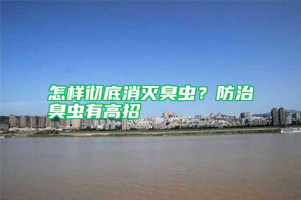 怎樣徹底消滅臭蟲(chóng)？防治臭蟲(chóng)有高招