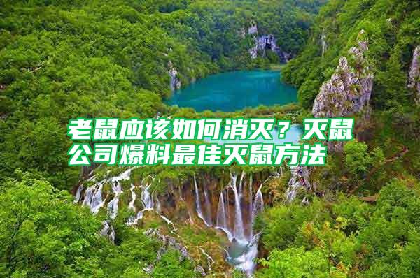 老鼠應(yīng)該如何消滅？滅鼠公司爆料最佳滅鼠方法