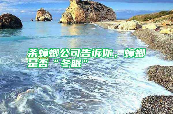 殺蟑螂公司告訴你，蟑螂是否“冬眠”