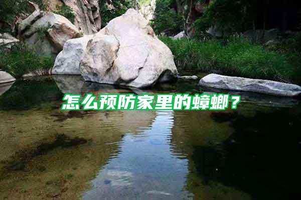 怎么預防家里的蟑螂？